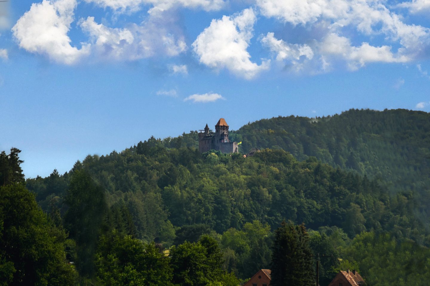 Burg Berwartstein in the forest