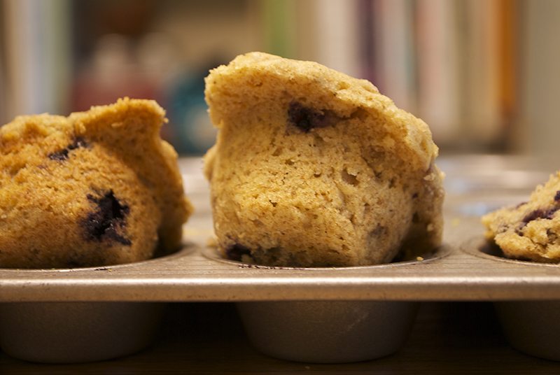 On Treehouse: Lemon oat blueberry muffins