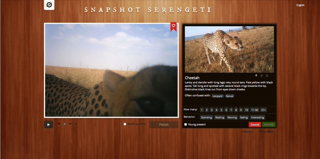 Do a science with Snapshot Serengeti
