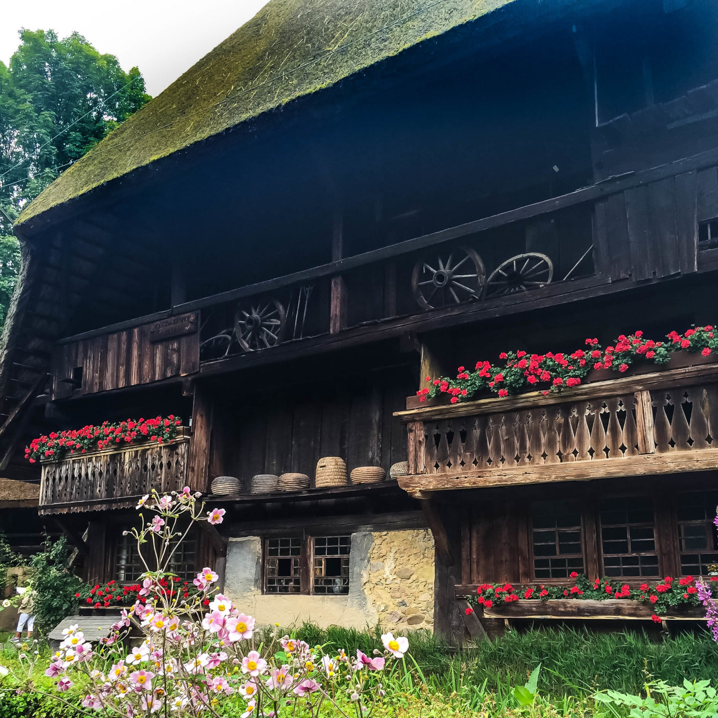 The outside of the oldest farmhouse at the Black Forest Open Air Museum. Note the beehives on the ledge!
