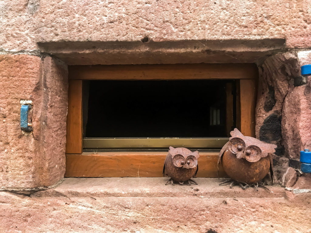 Cute little owls spotted in Schiltach 